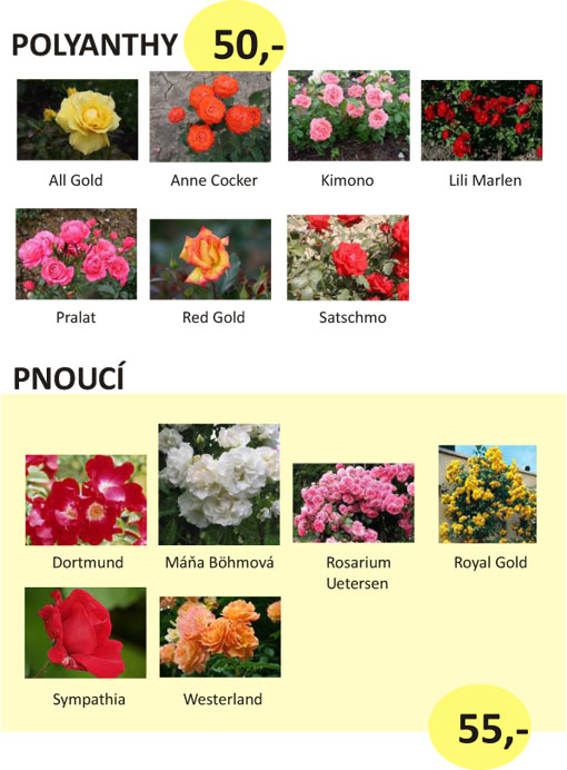 Polyanthy, pnouc�